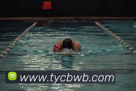 太阳城发展历程